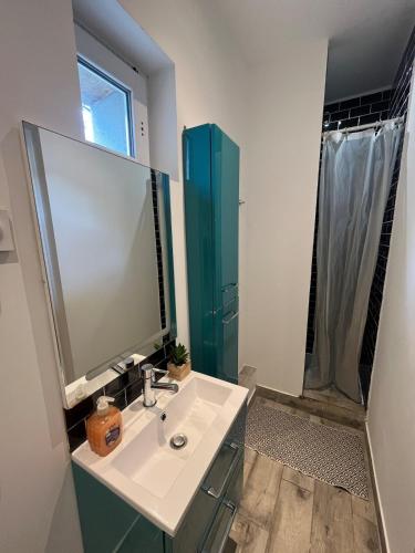 une salle de bain avec un lavabo et un miroir dans l'établissement T2 Modern and Cosy in St Étienne, à Saint-Étienne