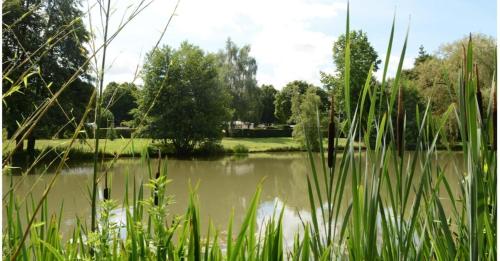 Evasion en Champagne, proche de Paris et des 2 Parcs