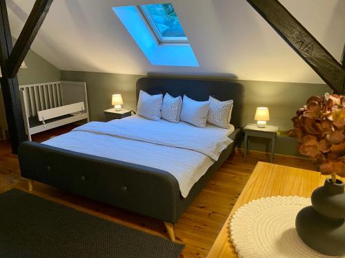 a bedroom with a large bed with a skylight at Apartmán Jáchymov Klínovec in Jáchymov