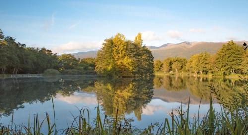 un lac avec des arbres et des montagnes en arrière-plan dans l'établissement Le Puits de Sauverny, à Sauverny