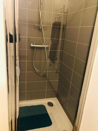 La salle de bains est pourvue d'une douche avec un tapis vert. dans l'établissement GM Hébergement, à Nantes