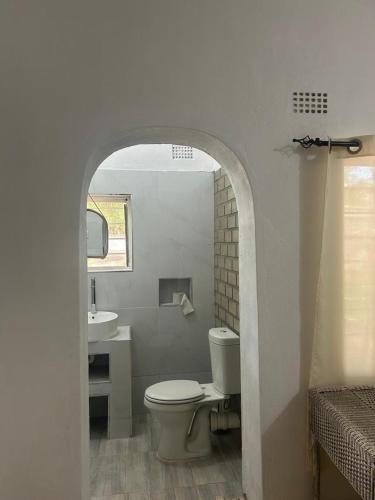 a bathroom with a toilet and a sink at Villa Liwonde - Cottage in Liwonde
