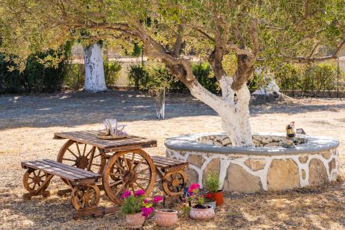 a table and a bench next to a tree at Olive Studios Karpathos Studio #1 in Karpathos Town