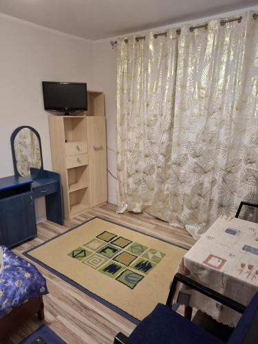 a living room with a curtain and a rug at Pokoje Goscinne Buzuki in Ciechanów