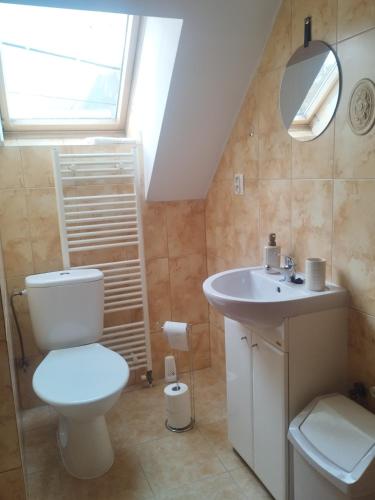 a bathroom with a toilet and a sink at Drevenica u Holtana in Oščadnica