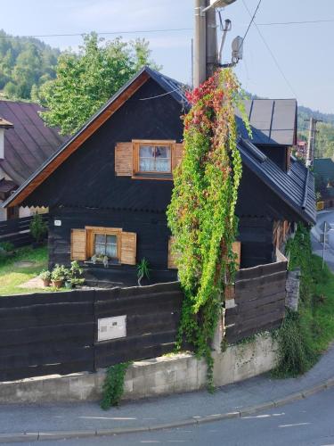 a house with ivy growing on the side of it at Drevenica u Holtana in Oščadnica