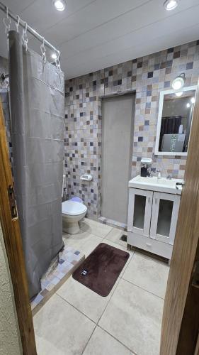 a bathroom with a shower and a toilet and a sink at La Reina in Eldorado