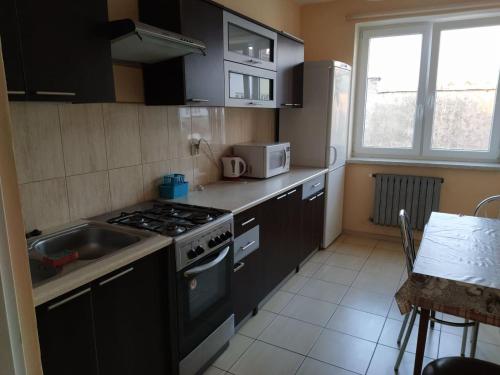 a small kitchen with a stove and a sink at Pokoje Goscinne Buzuki in Ciechanów