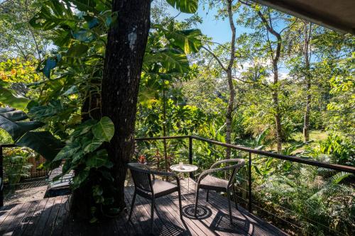 Ein Garten an der Unterkunft Feeling Trees Jungle Lodge