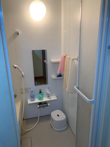 a bathroom with a sink and a mirror and a toilet at Guesthouse TOMAYA in Nemuro