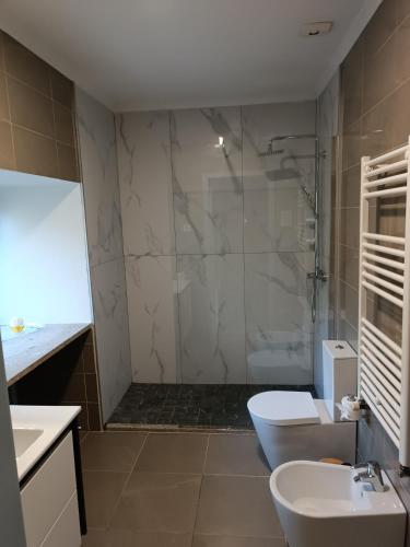 a bathroom with a shower and a toilet and a sink at Quinta Da Ribeira in Ponte de Lima
