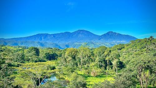a view of a forest with mountains in the background at Colibrí in Sarapiquí
