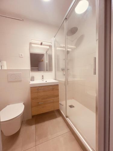 une salle de bain avec une douche, des toilettes et un lavabo dans l'établissement Plein soleil cosy, aux Angles
