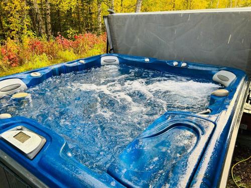 a blue tub filled with water in front of a forest at Alaska Getaway in Palmer