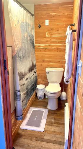 a bathroom with a toilet in a wooden room at Alaska Getaway in Palmer