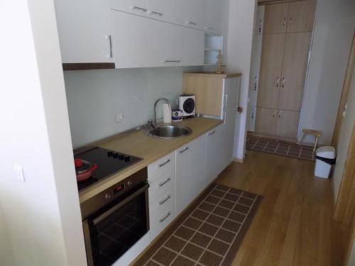 Kuchyň nebo kuchyňský kout v ubytování Apartment NDK