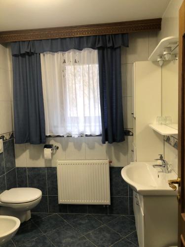 a bathroom with a toilet and a sink at Sobe apartma Milena in Bled