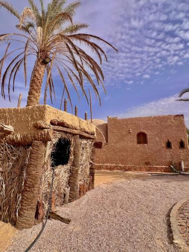 Fotografie z fotogalerie ubytování Siwa Lodge v destinaci Siwa