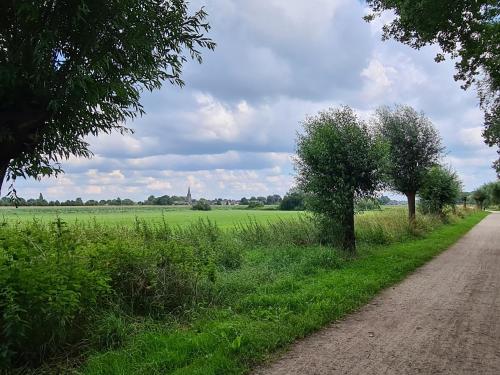 a dirt road next to a green field with trees at BenB Lagiraffa in Escharen