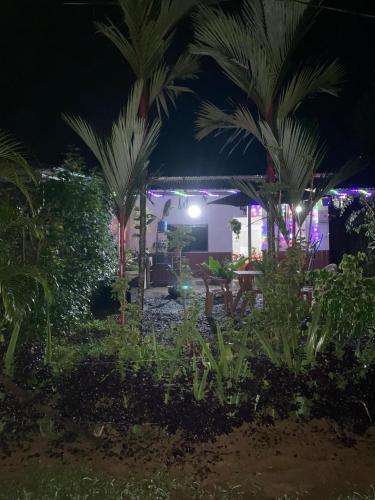 a garden at night with palm trees and lights at Casa de bendición in Rio Celeste