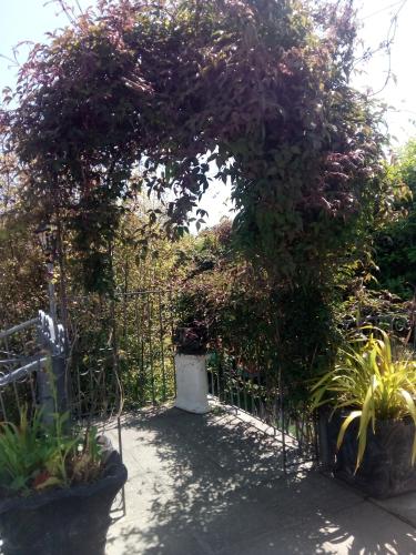 an entrance to a garden with a gate with plants at Melrose Bed and Breakfast in Clonakilty