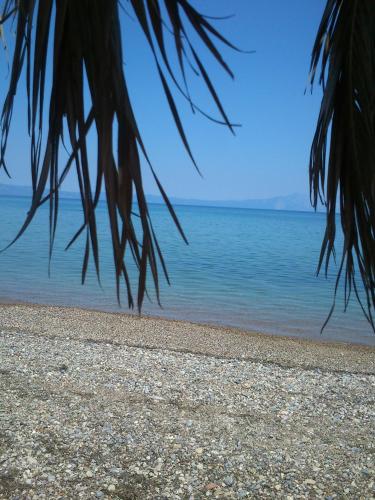 a view of a beach with the ocean in the background at Evoikos beach & resort in Livanátai
