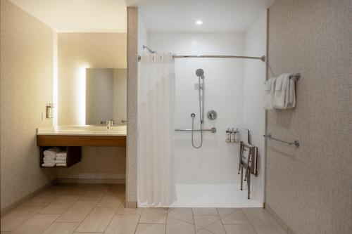 a bathroom with a shower and a sink at Holiday Inn Express & Suites - Gilbert - Mesa Gateway Airport in Gilbert