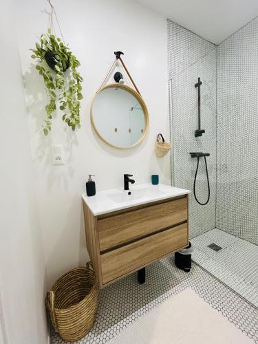 une salle de bain avec un lavabo et un miroir au mur dans l'établissement Maison petite côte, à Carcassonne