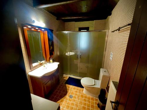 a bathroom with a shower and a sink and a toilet at Villa Aloni in Fílippos
