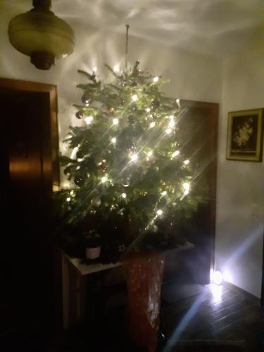 a christmas tree with lights in a room at Ferienwohnungen Sternenhimmel WHG 1 in Medebach