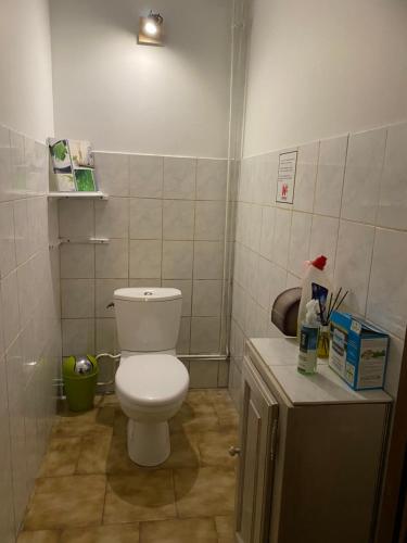 a small bathroom with a toilet and a sink at GITE CLARIMOR in Puygiron