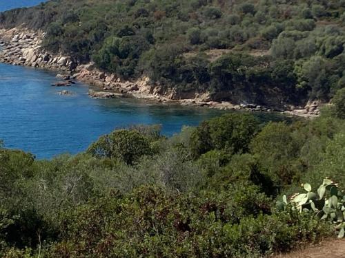 Φυσικό τοπίο κοντά σε αυτή η παραθεριστική κατοικία