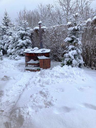 a yard covered in snow with trees and bushes at Liptovská Drevenica in Liptovský Mikuláš