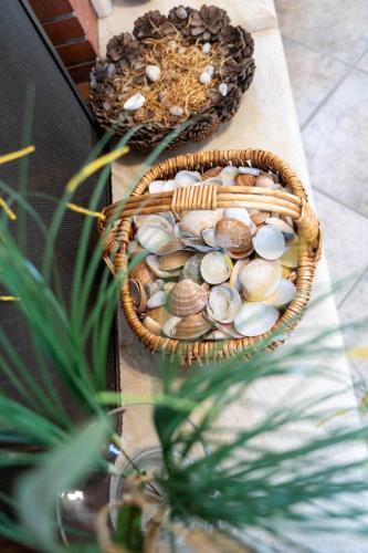 a basket of shells on a table with a plant at Cookoo Villas in Kriopigi