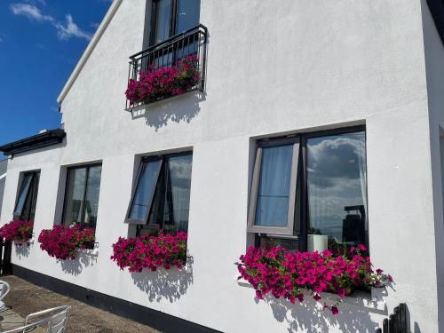 a white building with pink flowers in window boxes at Teach Cruachan Large-Group Holiday Home in Dooagh