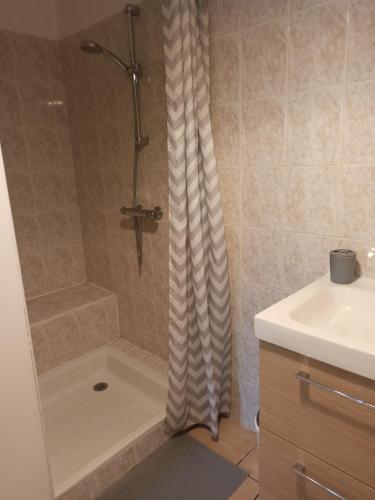 une salle de bain avec douche et lavabo dans l'établissement La Picoulade, à Saint-Hilaire-du-Bois