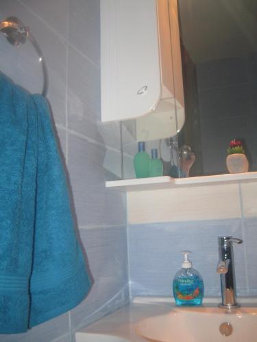 Gallery image of Etno Apartment Vrdnik in Vrdnik
