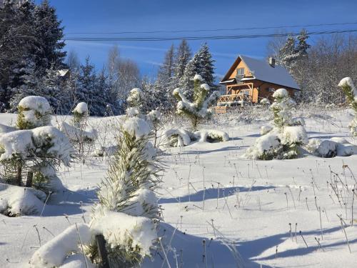 a snow covered yard with a house in the background at Domek na Czerwonej Górce in Uście Gorlickie