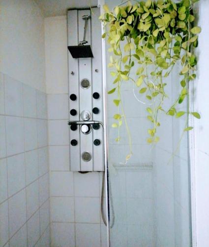 une plante en pot suspendue au mur d'une douche dans l'établissement Strasbourg centre proche gare, à Strasbourg