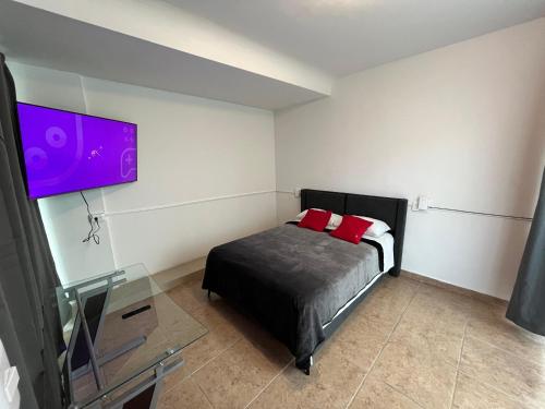 a bedroom with a bed and a tv on the wall at Venator House Habitación sencilla #15 in Miravalle