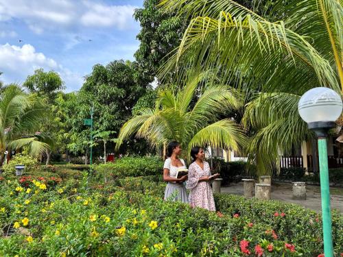 Jardín al aire libre en Palm Malinamoc Hotel