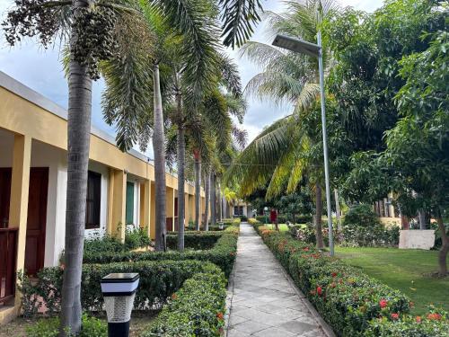 Jardín al aire libre en Palm Malinamoc Hotel