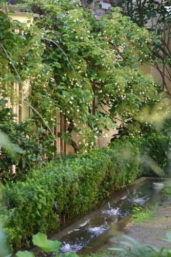 a garden with trees and a stream of water at Hofgärtnerhaus in Dresden