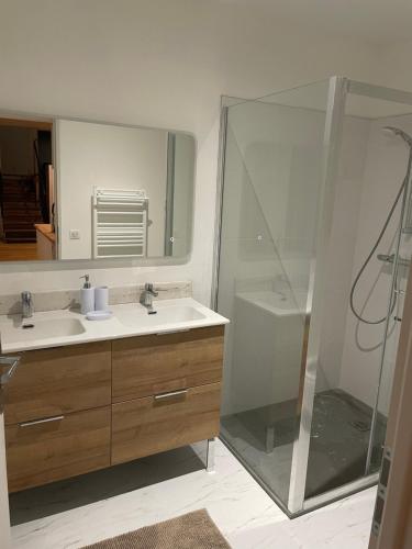 une salle de bain avec un lavabo et une douche dans l'établissement Apparemment choucas, à Bagnères-de-Bigorre