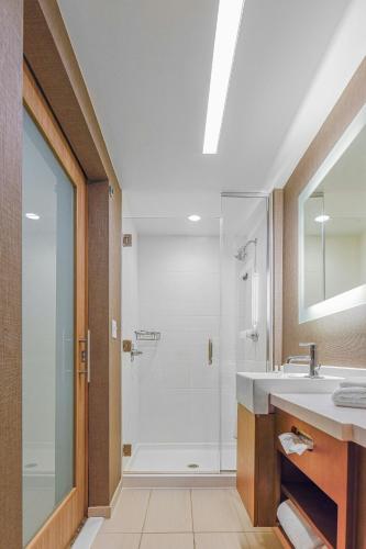a bathroom with a shower and a sink at SpringHill Suites by Marriott Fishkill in Fishkill