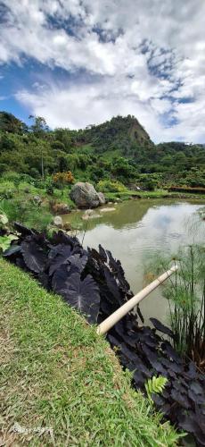 a river with a wooden pole in the grass at Acualandia Fish in Sasaima