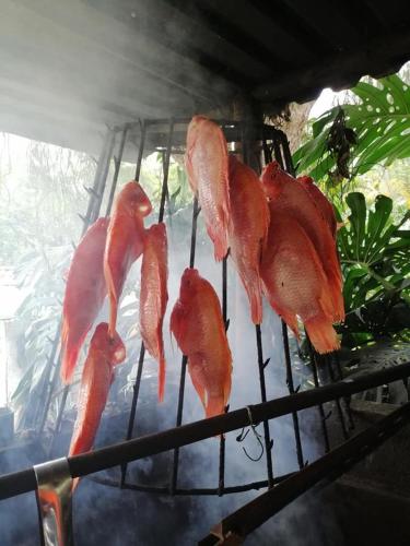 a group of red birds cooking on a grill at Acualandia Fish in Sasaima