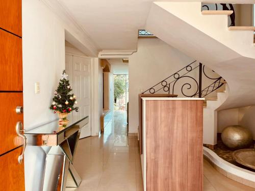 a christmas tree in a hallway with a staircase at Venator House Habitación sencilla #16 in Miravalle