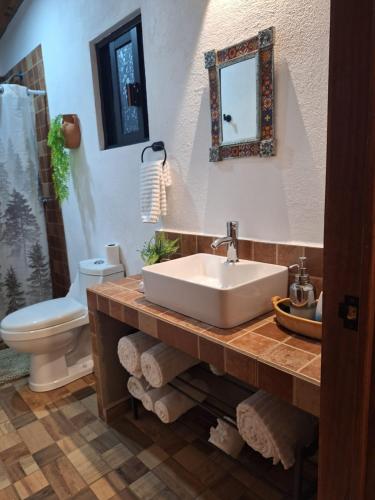 a bathroom with a sink and a toilet and a mirror at Casa Elizabeth en valle de Bravo,Avandaro in Godínez