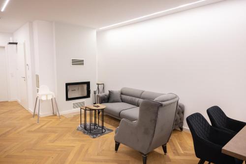 ein Wohnzimmer mit einer Couch und einem Sessel in der Unterkunft Neubau Apartment mit Kamin und Terrasse in Premium Lage Parkplatz inklusive in Bielefeld